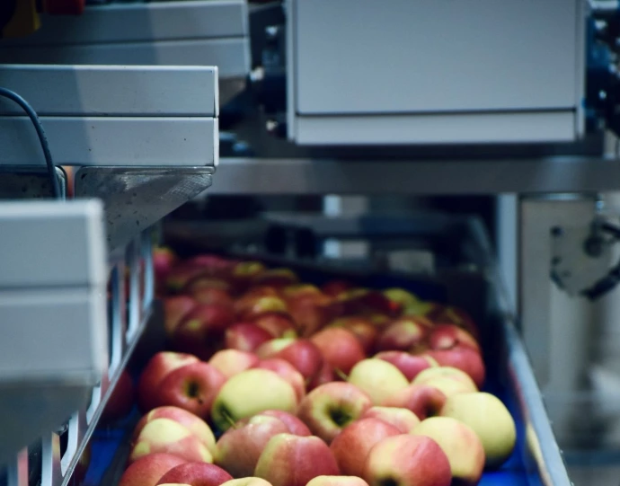 a box of apples
